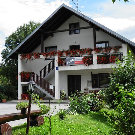 فندق House Janja Plitvice سيليست دريزنيكو المظهر الخارجي الصورة