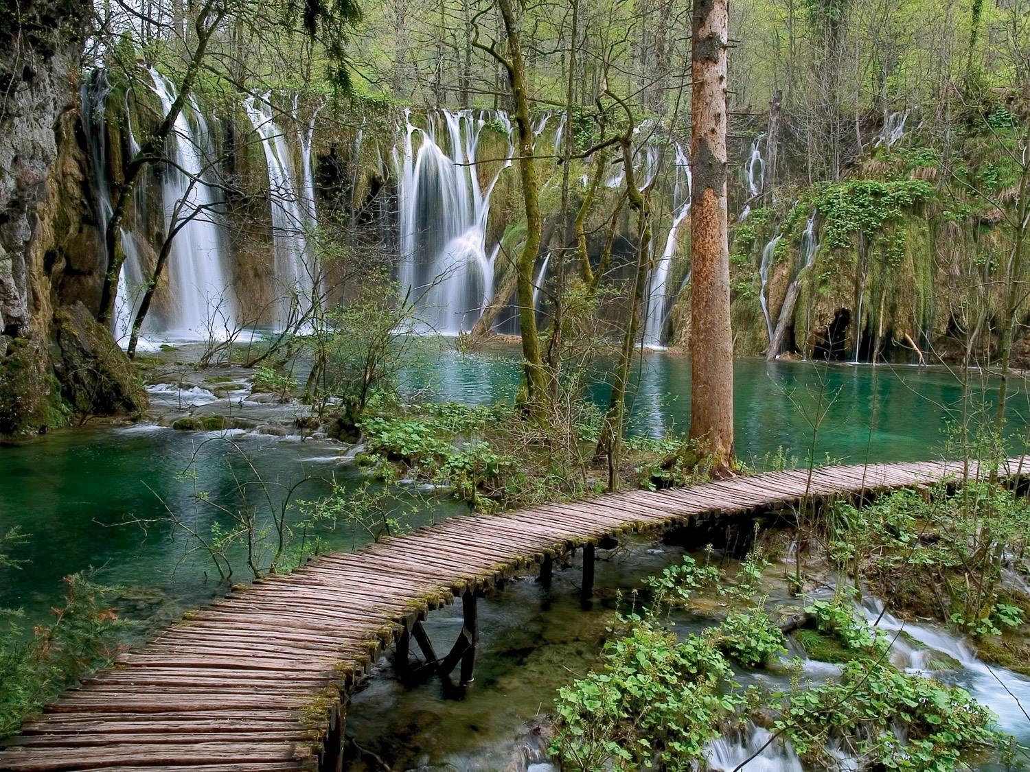 فندق House Janja Plitvice سيليست دريزنيكو المظهر الخارجي الصورة