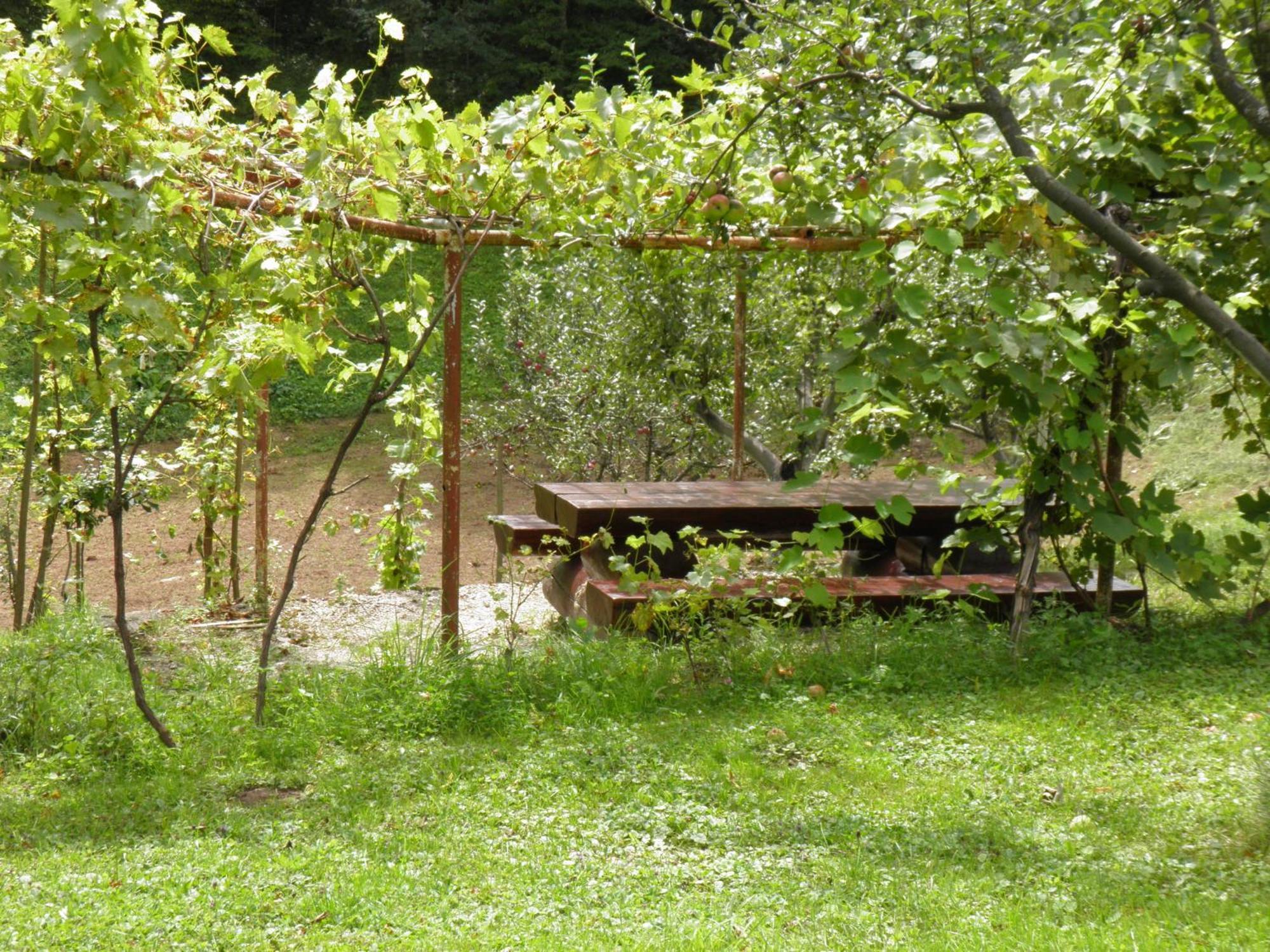 فندق House Janja Plitvice سيليست دريزنيكو المظهر الخارجي الصورة