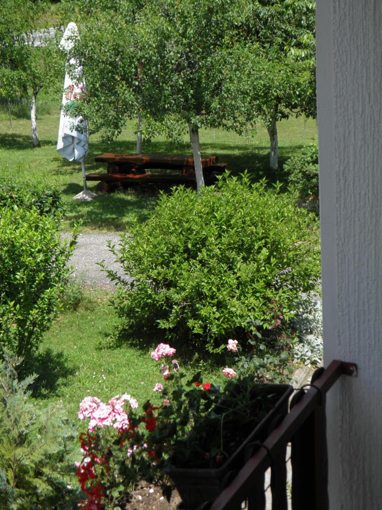 فندق House Janja Plitvice سيليست دريزنيكو المظهر الخارجي الصورة
